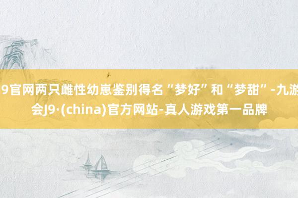 J9官网两只雌性幼崽鉴别得名“梦好”和“梦甜”-九游会J9·(china)官方网站-真人游戏第一品牌