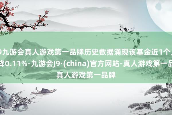 j9九游会真人游戏第一品牌历史数据涌现该基金近1个月下降0.11%-九游会J9·(china)官方网站-真人游戏第一品牌
