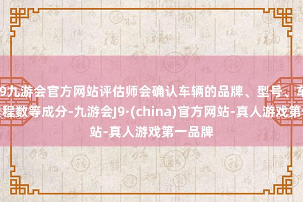 j9九游会官方网站评估师会确认车辆的品牌、型号、车况、里程数等成分-九游会J9·(china)官方网站-真人游戏第一品牌