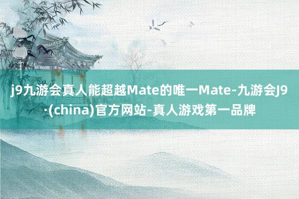 j9九游会真人能超越Mate的唯一Mate-九游会J9·(china)官方网站-真人游戏第一品牌