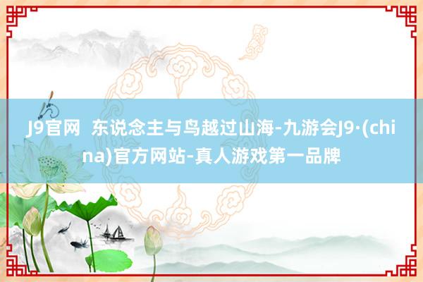 J9官网  东说念主与鸟越过山海-九游会J9·(china)官方网站-真人游戏第一品牌