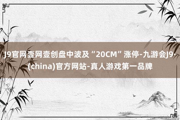 J9官网壹网壹创盘中波及“20CM”涨停-九游会J9·(china)官方网站-真人游戏第一品牌