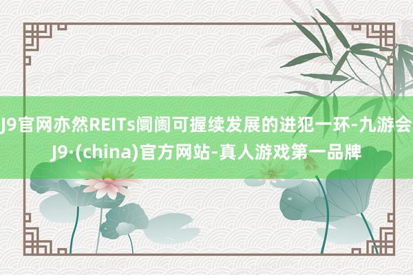 J9官网亦然REITs阛阓可握续发展的进犯一环-九游会J9·(china)官方网站-真人游戏第一品牌