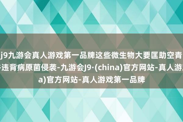 j9九游会真人游戏第一品牌这些微生物大要匡助空青得回营养并违背病原菌侵袭-九游会J9·(china)官方网站-真人游戏第一品牌